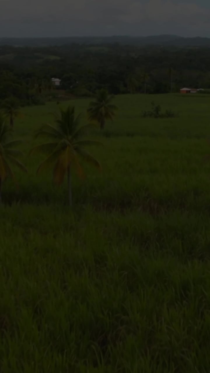 #NxlevelTravel Presents:  5th Annual Britton Dennis Missionary Initiative