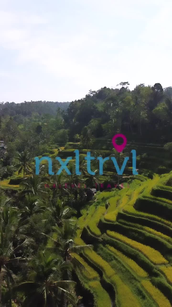 Nxlevel Lifestyle & Entertainment Group